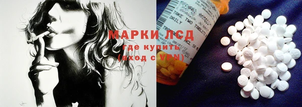 сатива Кодинск