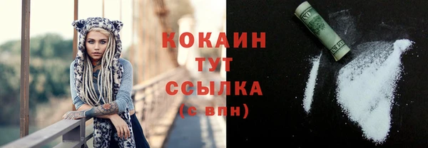 сатива Кодинск