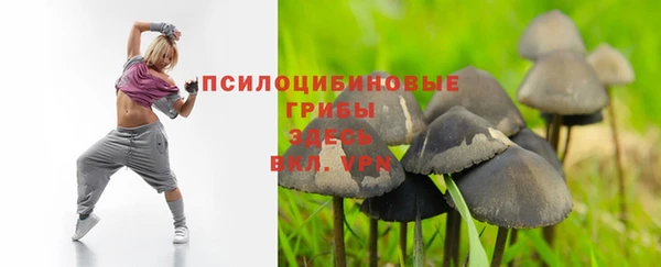 сатива Кодинск