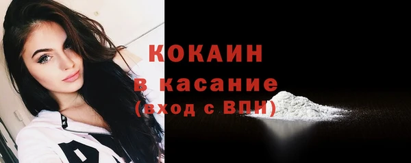сатива Кодинск