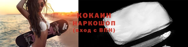 сатива Кодинск