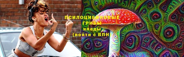сатива Кодинск
