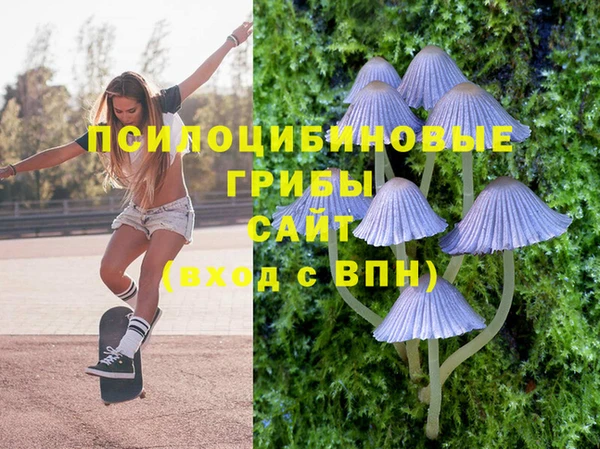 метамфетамин Козловка